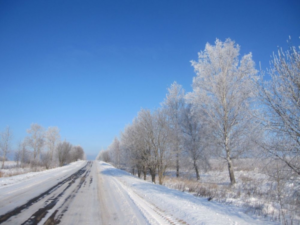 Дорога к монастырю, деревья в снежно-кружевном наряде встречают всех приезжающих