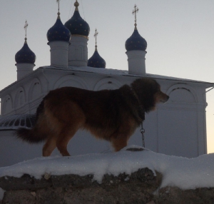 охранник монастыря Гром на фоне Успенского храма зима 2014/2015